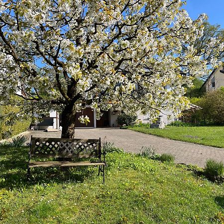 Ferienwohnung Am Kirschbaum Uhldingen-Mühlhofen Exterior photo